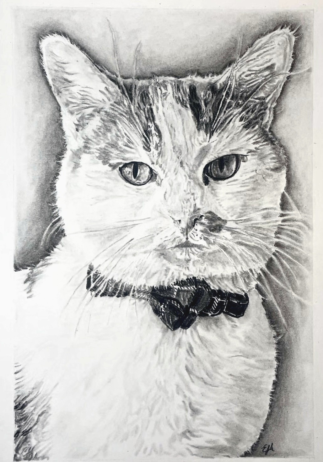 Dashing Karl